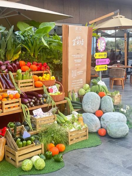 有机蔬菜市场前景怎么样_有机蔬菜加盟赚钱吗