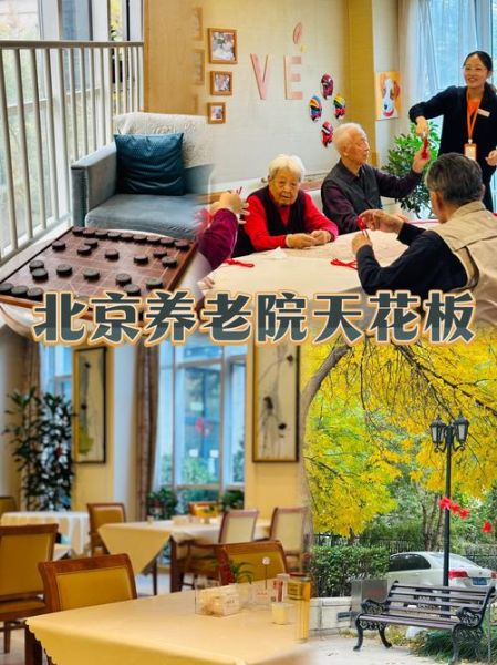 敬老院前景怎么样_投资敬老院赚钱吗