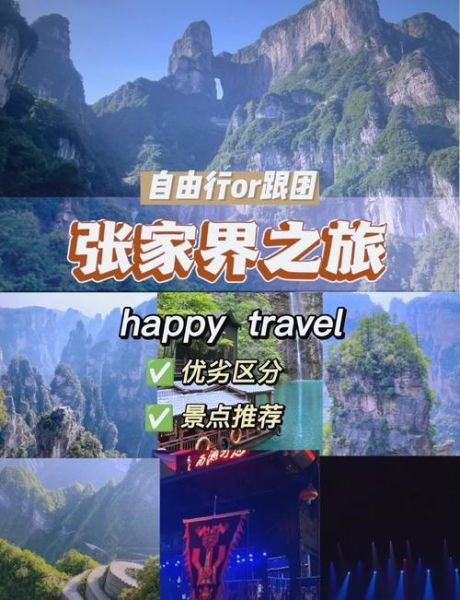 2013年旅游行业怎么样_自由行与跟团游哪个更火