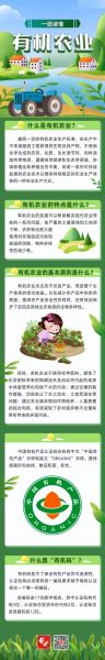 有机农业前景如何_有机农业赚钱吗