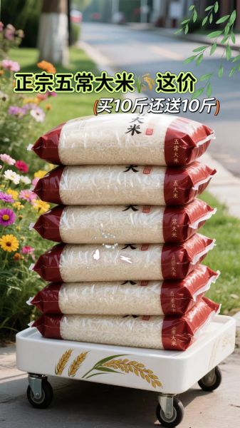 全国大米价格走势_哪里买正宗五常大米