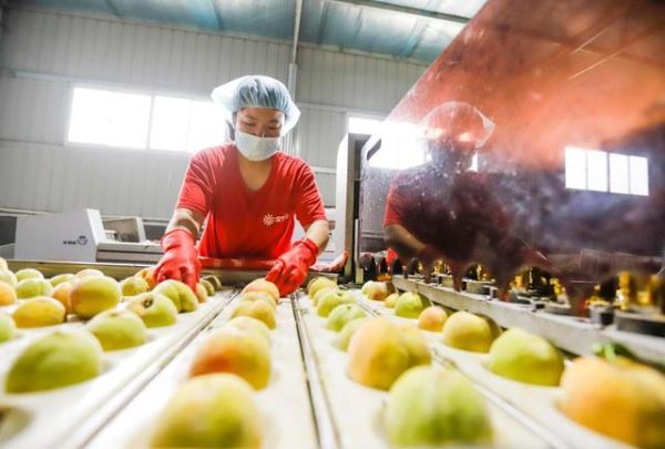 桃子深加工市场前景如何_桃子深加工有哪些产品