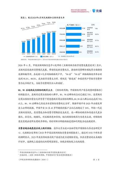 互联网金融调研报告_2024年行业趋势与风险分析