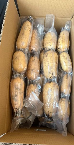 莲藕怎么挑选_莲藕批发价格多少钱一斤