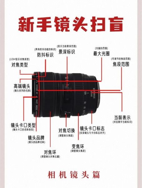 手机拍照怎么选镜头_拍照市场调查报告