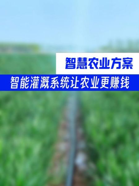 现代农业如何赚钱_智慧农业有哪些新模式