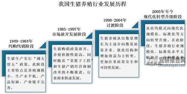 养猪行业发展前景_未来五年养猪赚钱吗