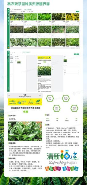 中国茶产业互联网创新_如何打造数字化茶园
