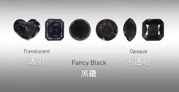 黑钻前景怎么样_黑钻投资靠谱吗