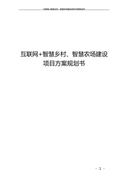中国互联网规划是什么_如何落地实施
