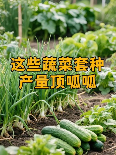 蔬菜种植赚钱吗_蔬菜种植技术有哪些