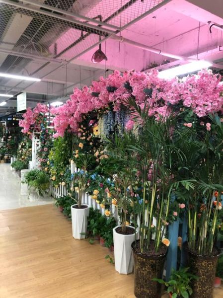 花卉市场前景如何_2024年花卉行业赚钱吗