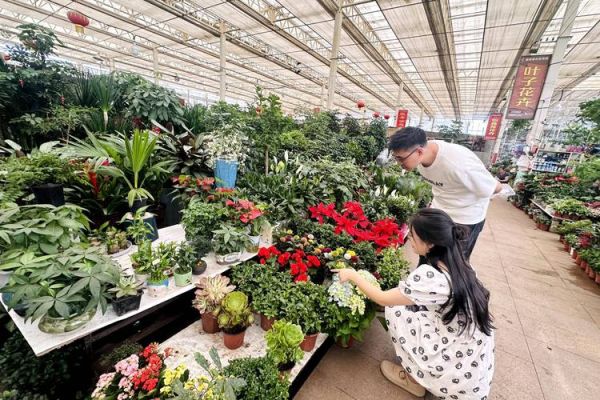 花卉市场前景如何_2024年花卉行业赚钱吗