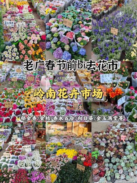 花卉市场前景如何_2024年花卉行业赚钱吗
