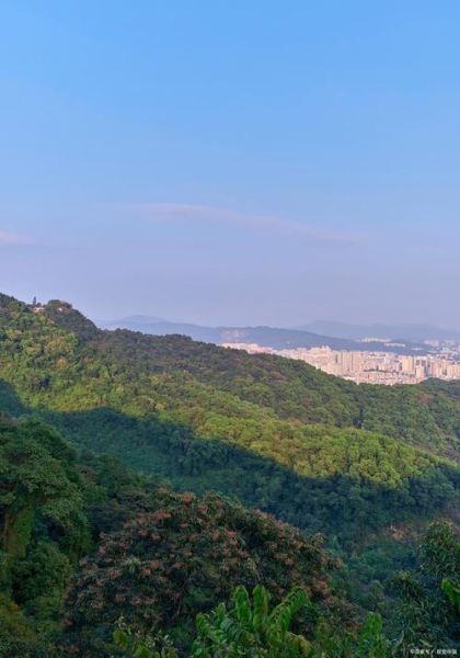 白云山前景怎么样_值得投资吗