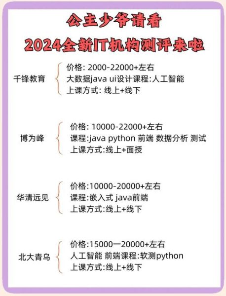 it培训行业前景怎么样_2024年还能学编程吗