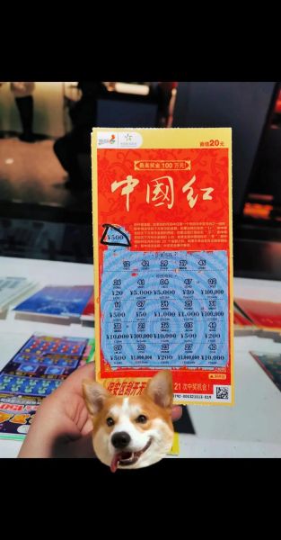 体彩前景怎么样_体彩还能火多久