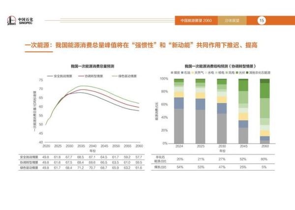 中石油行业环境分析_未来五年盈利点在哪
