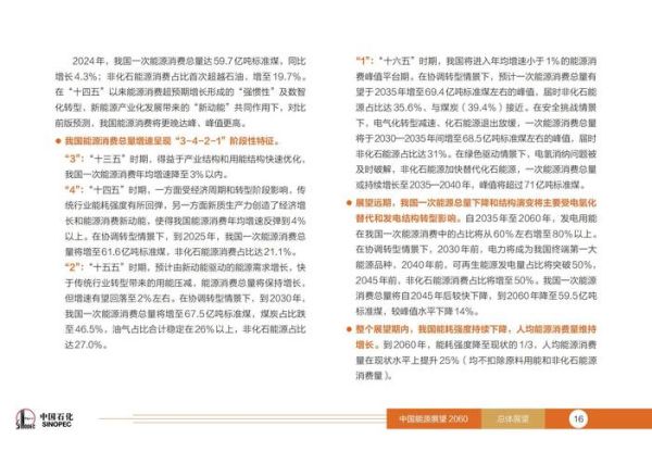 中石油行业环境分析_未来五年盈利点在哪