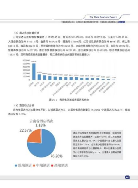 酒店行业环境分析_2024年酒店业如何突围