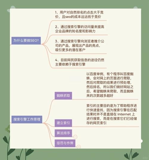 2024网站SEO怎么做_如何应对算法更新