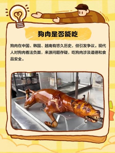 狗肉还能吃吗_2024年狗肉市场前景分析