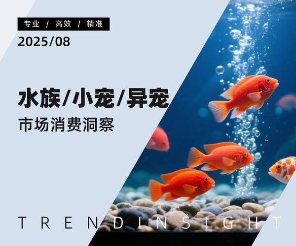水族市场前景怎么样_水族行业赚钱吗