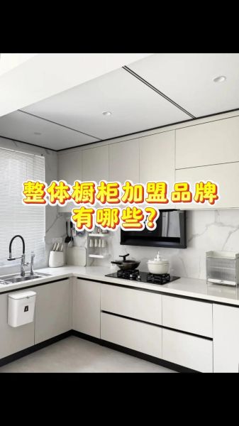 整体橱柜加盟赚钱吗_整体橱柜前景怎么样