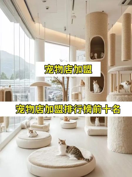 宠物店加盟哪家好_新手如何开宠物店