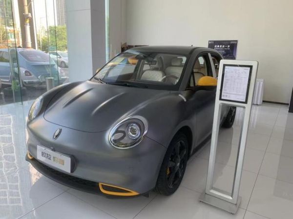 2024年新能源汽车值得买吗_10万级纯电车怎么选