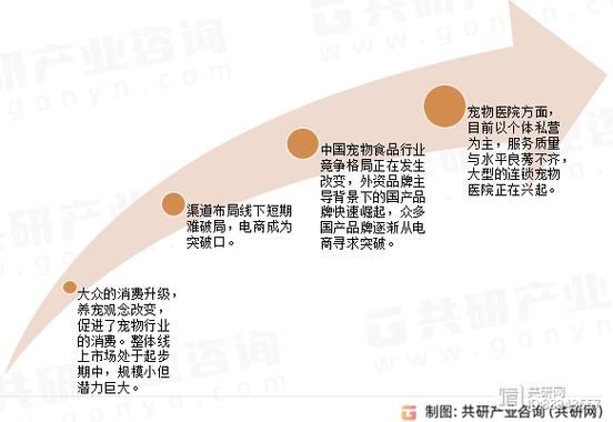 宠物行业市场分析_2024年宠物店还能赚钱吗