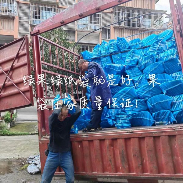 纸果袋环保吗_纸果袋市场前景如何