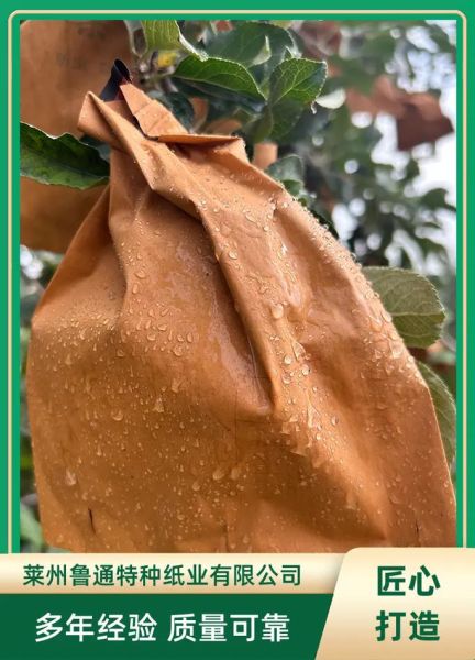 纸果袋环保吗_纸果袋市场前景如何