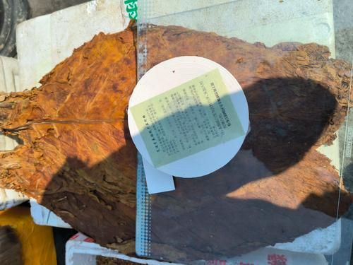 卷烟纸用什么材料_卷烟纸价格多少钱一吨