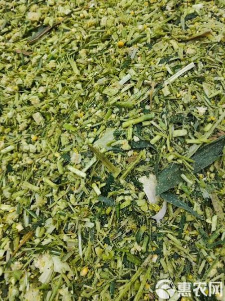 青贮饲料前景怎么样_2024年市场机会在哪