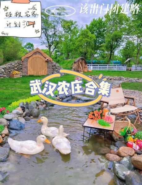 休闲农业项目如何盈利_休闲农业适合做什么项目