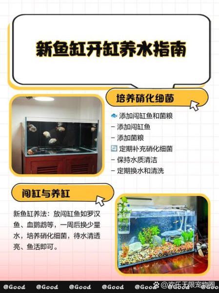 新手养什么观赏鱼好养_水族箱开缸步骤