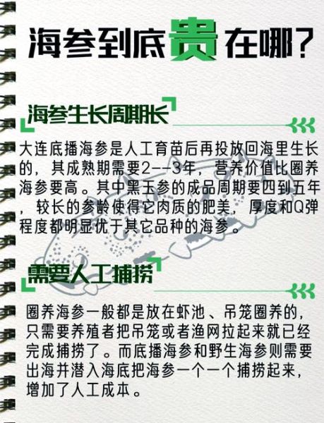 海参养殖赚钱吗_海参市场前景怎么样