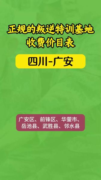 四川前景咨询怎么样_四川前景咨询收费标准