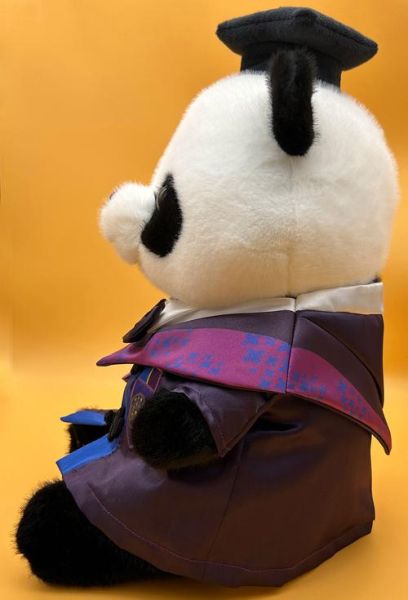 玩偶前景怎么样_2024年还能赚钱吗