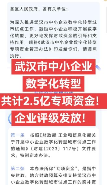 武汉互联网转型怎么做_武汉企业数字化升级路径