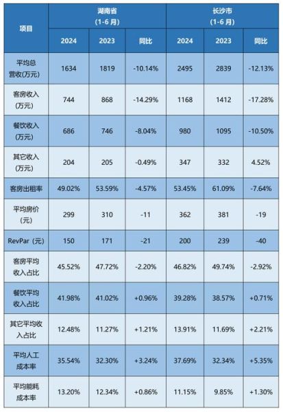 酒店行业分析报告_2024年酒店投资回报率如何