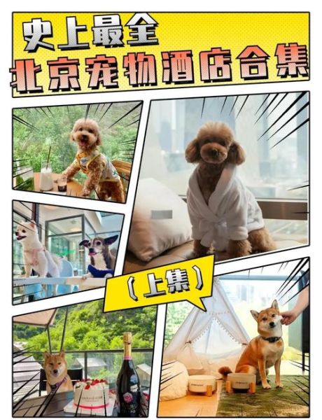 宠物酒店赚钱吗_宠物酒店前景怎么样