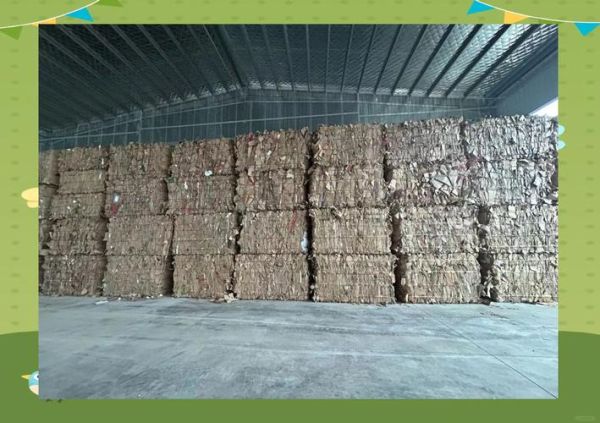 纸厂行业前景如何_纸厂环保政策有哪些