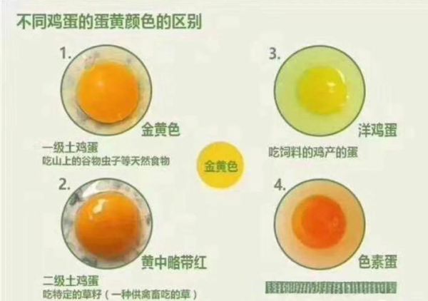 土鸡蛋多少钱一斤_土鸡蛋和普通鸡蛋的区别