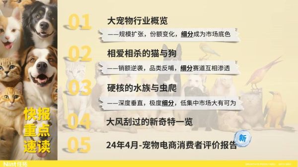 宠物行业前景怎么样_2024年还能入场吗
