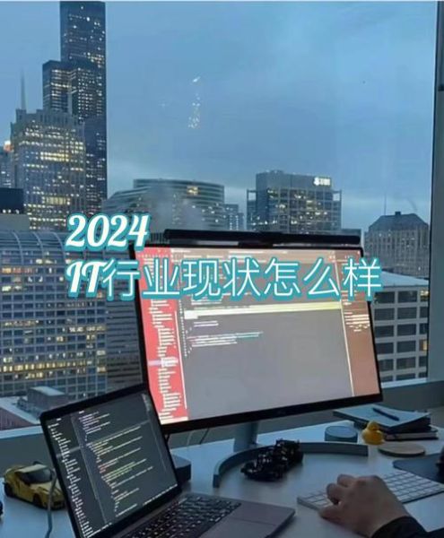 2024年IT行业现状_程序员转行做什么