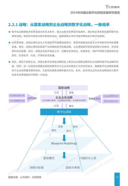 企业数字化转型如何落地_行业信息化分析报告