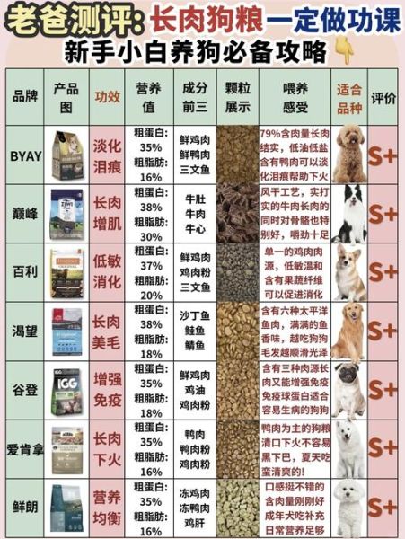 现在卖狗粮赚钱吗_2024宠物食品市场趋势