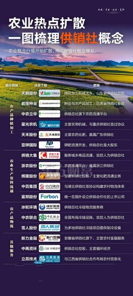 供销社未来发展前景_供销社改革方向